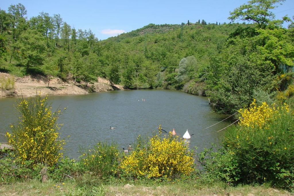 Casa Vacanza Le Corniole Civitella in Val di Chiana Eksteriør bilde