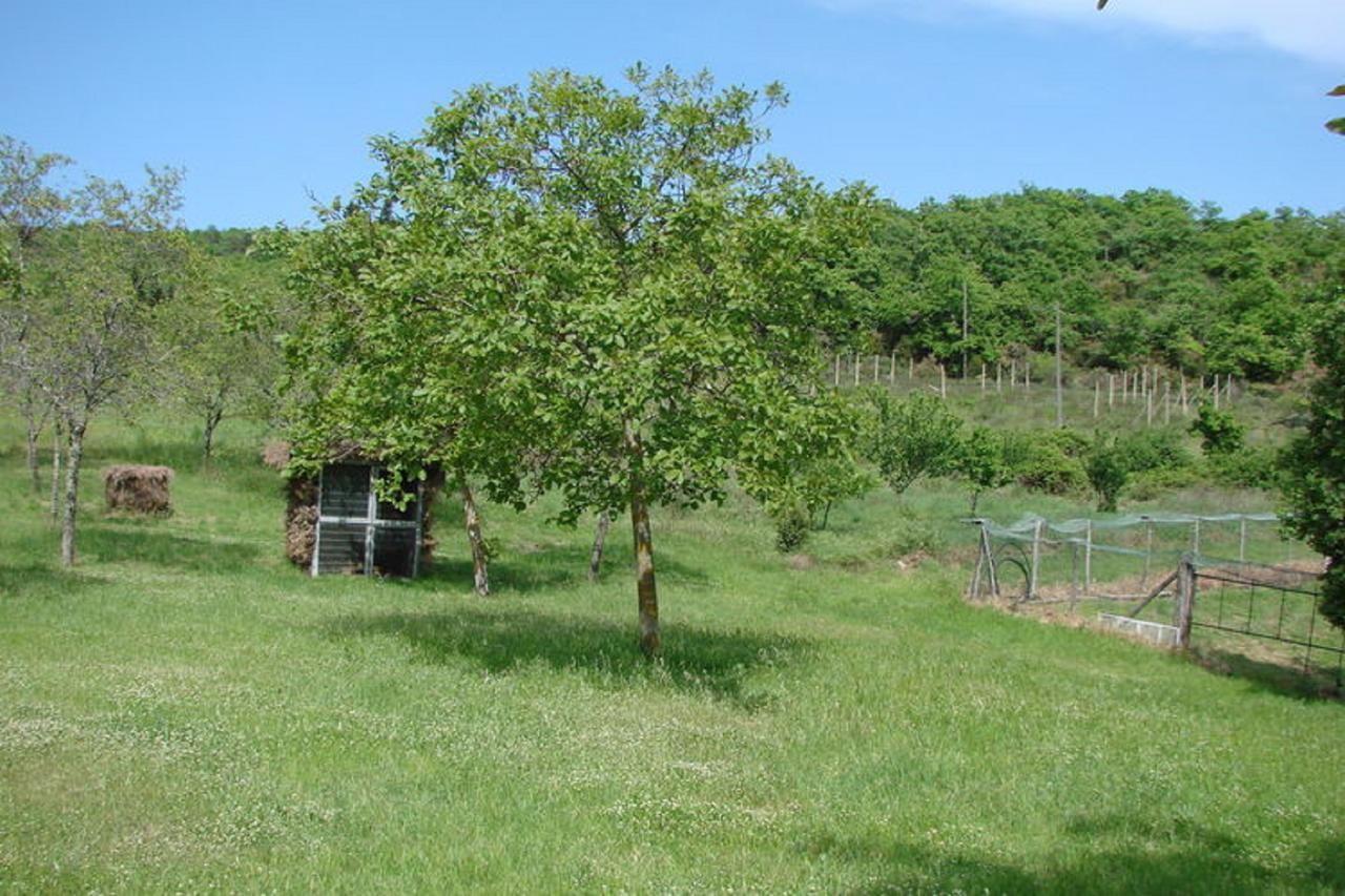 Casa Vacanza Le Corniole Civitella in Val di Chiana Eksteriør bilde